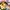 เต้าหู้ชีส PFP 25 ชิ้น (500 g.) [ค่าส่งเหมา! ส่งรถเย็น ซื้อได้ทั้งร้าน]